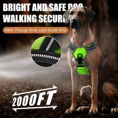 Rechargeable luminous Dog Harness