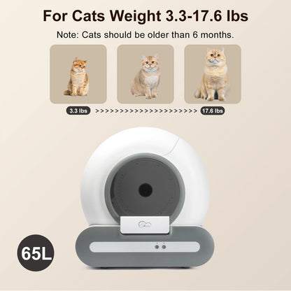 Self-Cleaning Cat Litter Box