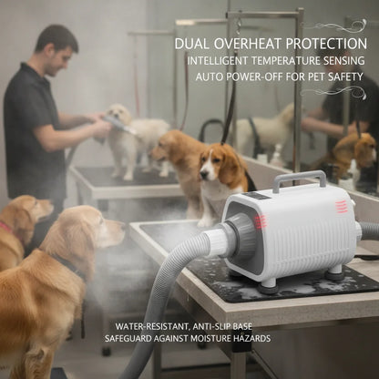 Professional Pet Hair Dryer