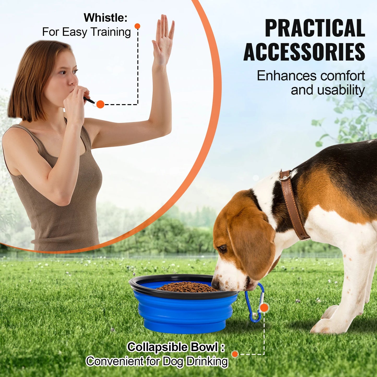 4 PCS Dog Agility Training Equipment