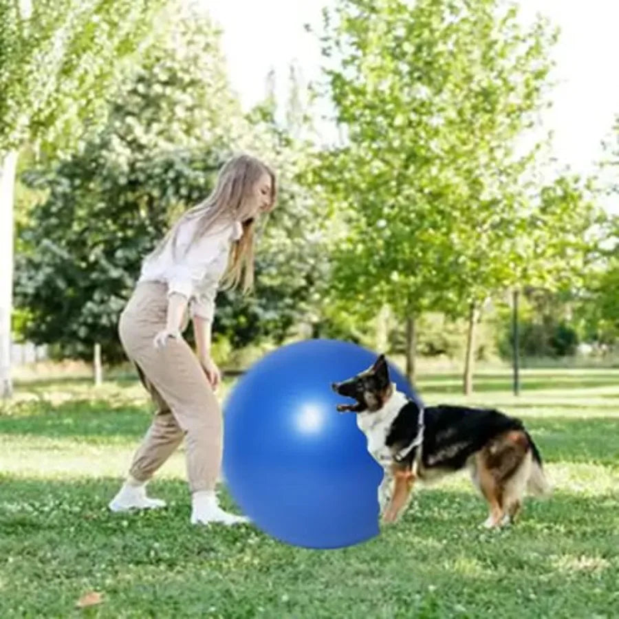 25" Heavy Duty Blue Herding Ball