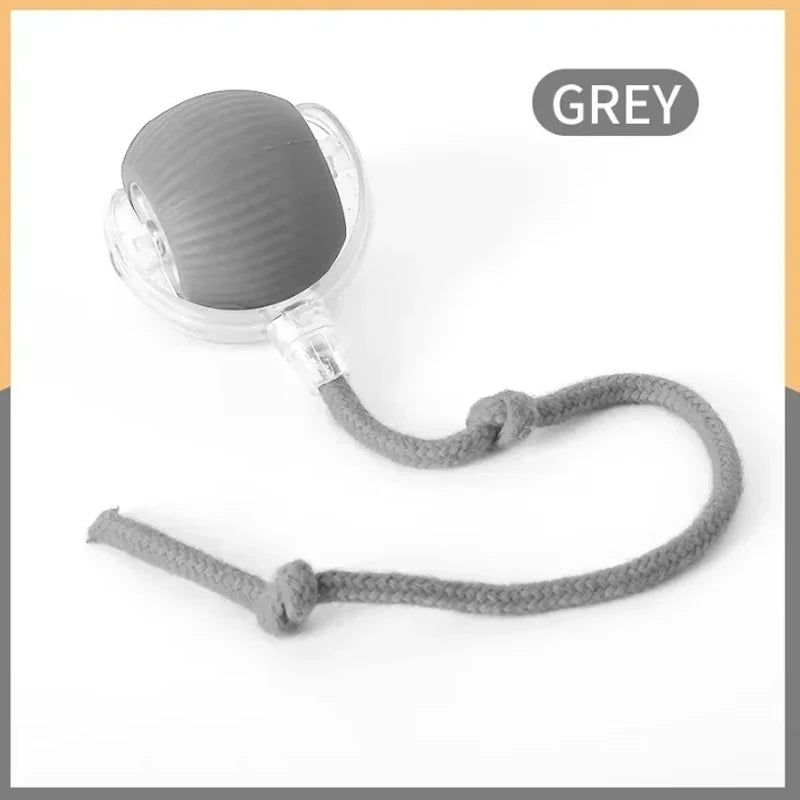 Self-satisfying Cat Toy