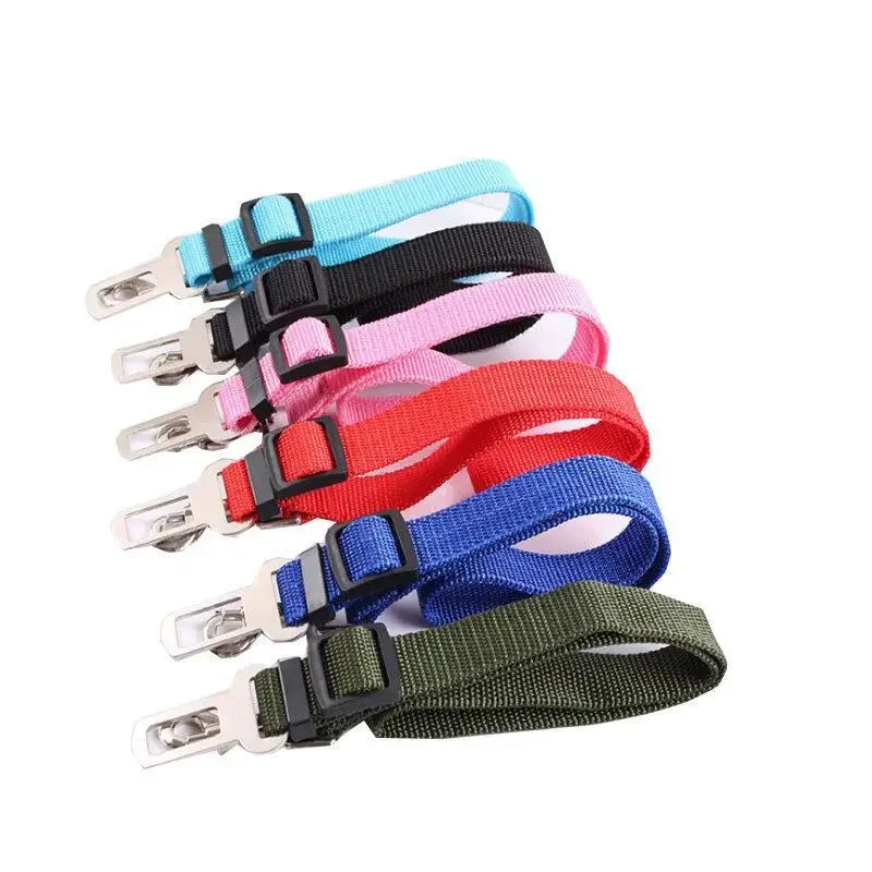 Dog Leash Safety Protector