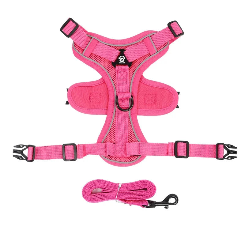 No Pull Dog Harness and Leash Set