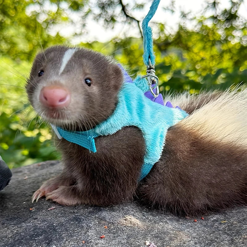 Adjustable Ferret Vest, Lead Rope