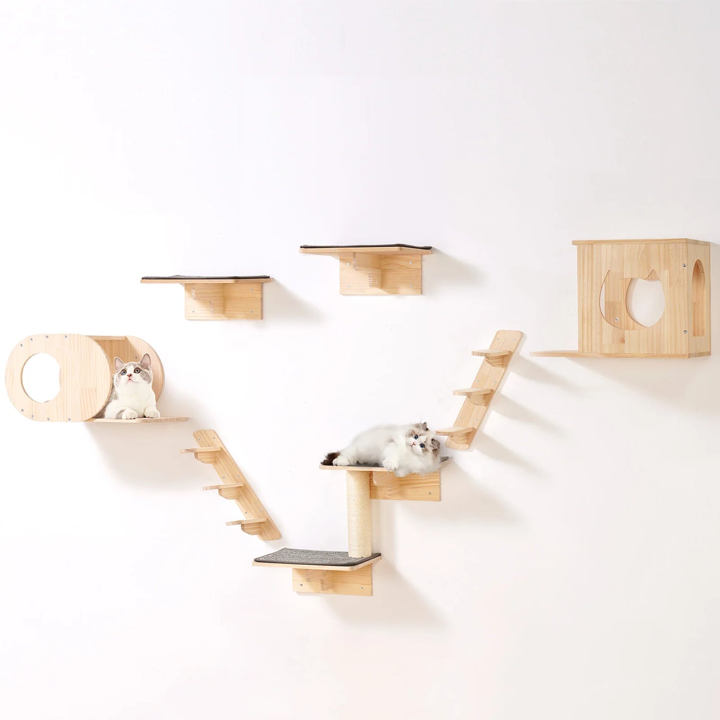 Wall Mounted Cat Shelves & Perches