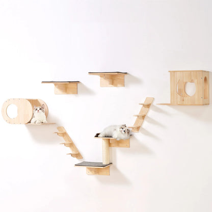 Wall Mounted Cat Shelves & Perches