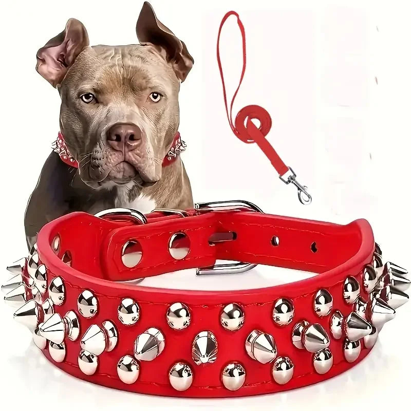 Adjustable, Leather Spiked Dog Collar and Leash Set