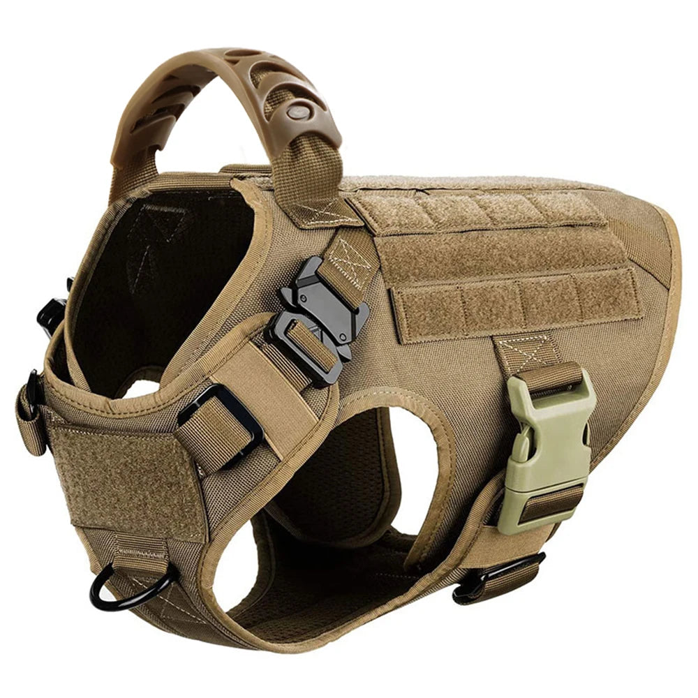 Large Dog Harness & Leash Set