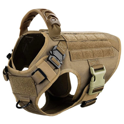 Large Dog Harness & Leash Set