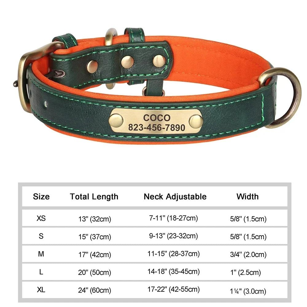 Customized Leather ID Nameplate Collar