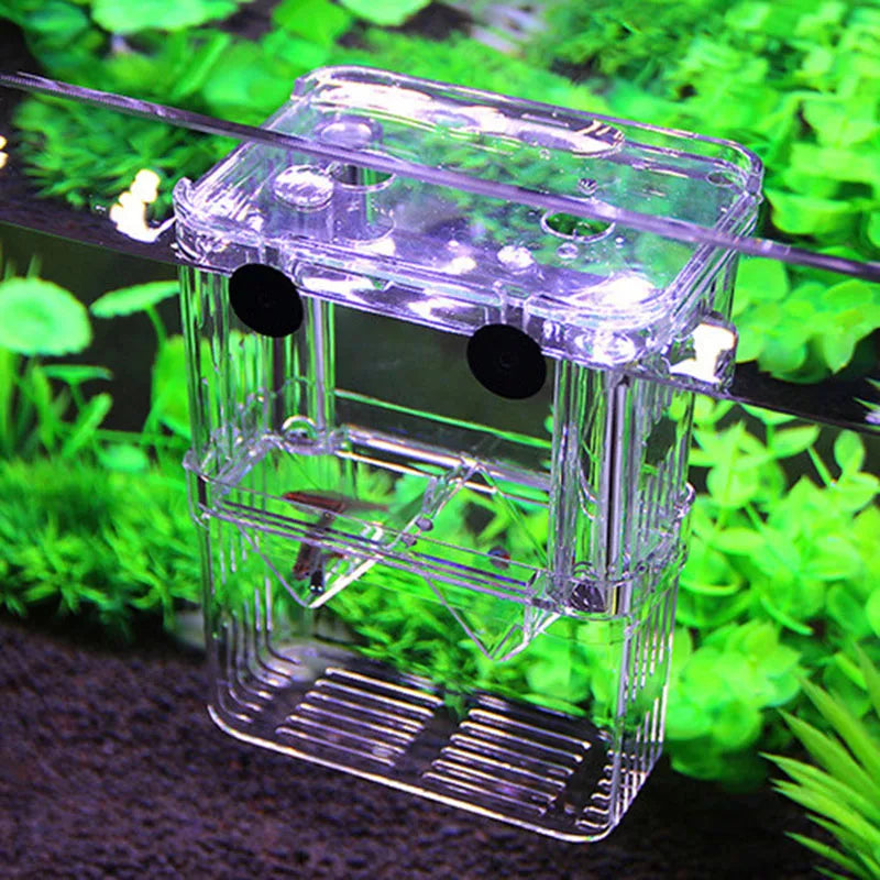 Multifunctional Fish Breeding Isolation Box