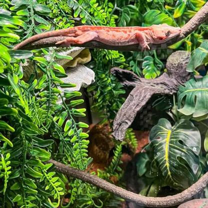 Flexible Jungle Climbing Vines