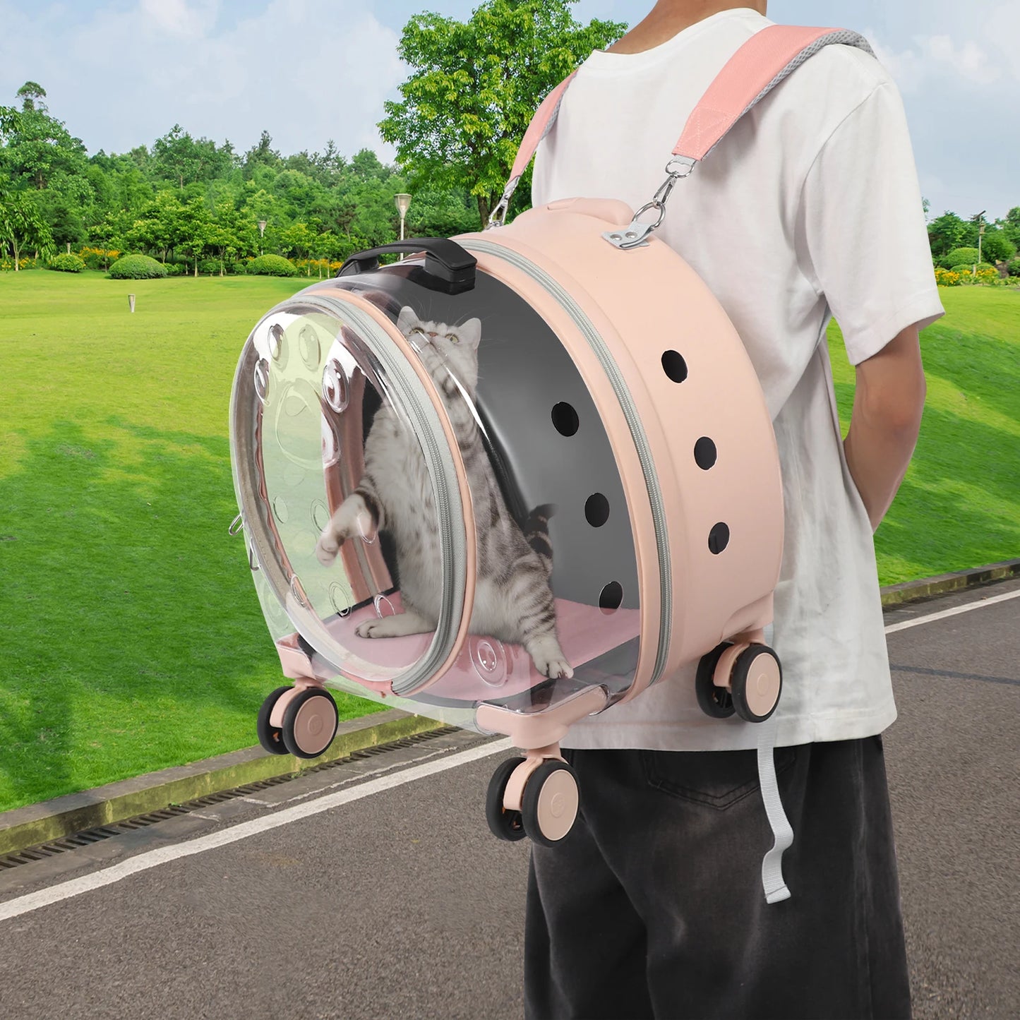 Light Pink Transparent Pet Travel Carrier