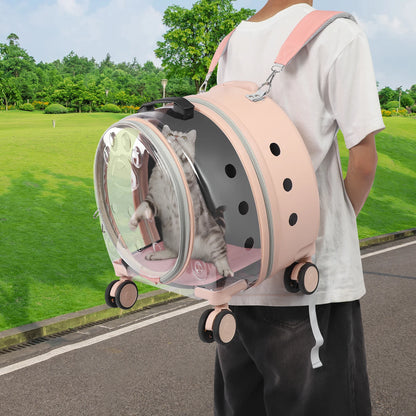 Light Pink Transparent Pet Travel Carrier