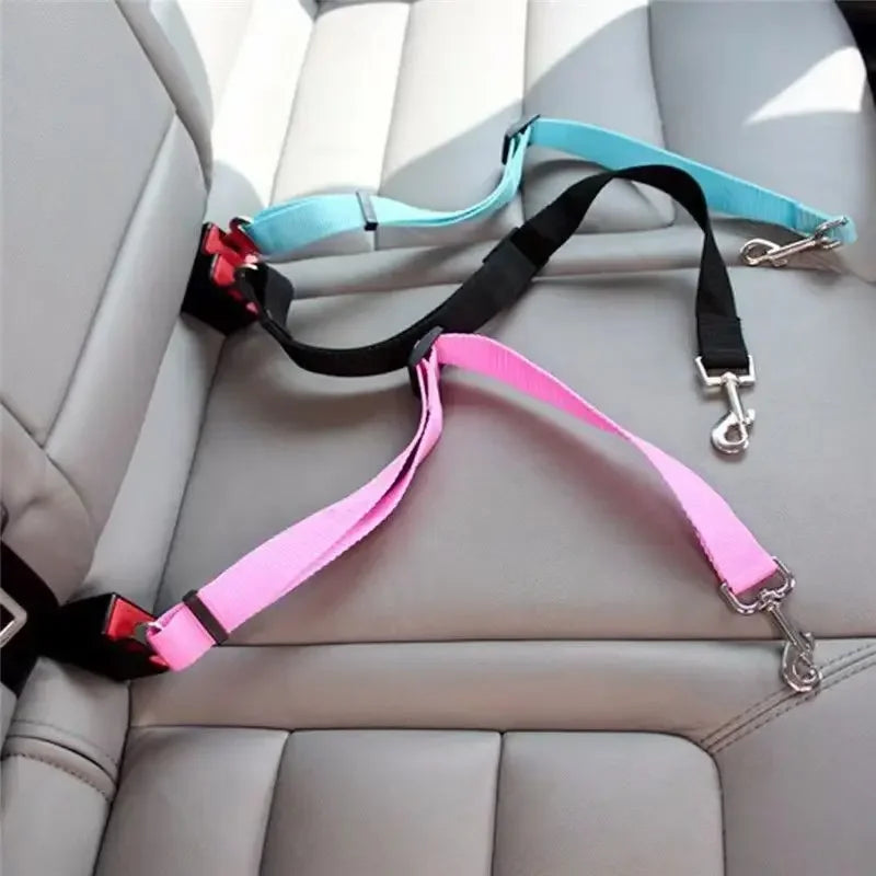 Dog Leash Safety Protector