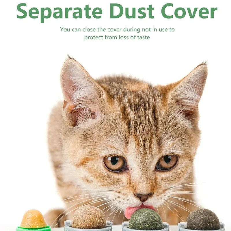 Rotating Catnip Silver Vine Ball