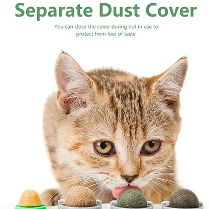 Rotating Catnip Silver Vine Ball