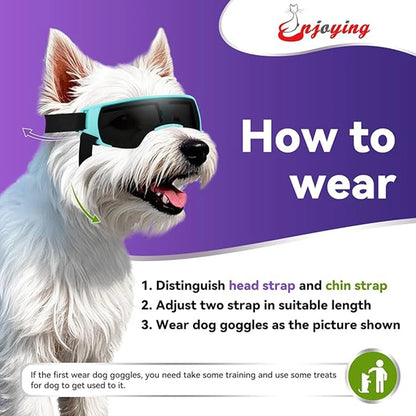Small Breed Dog Sunglasses/Goggles