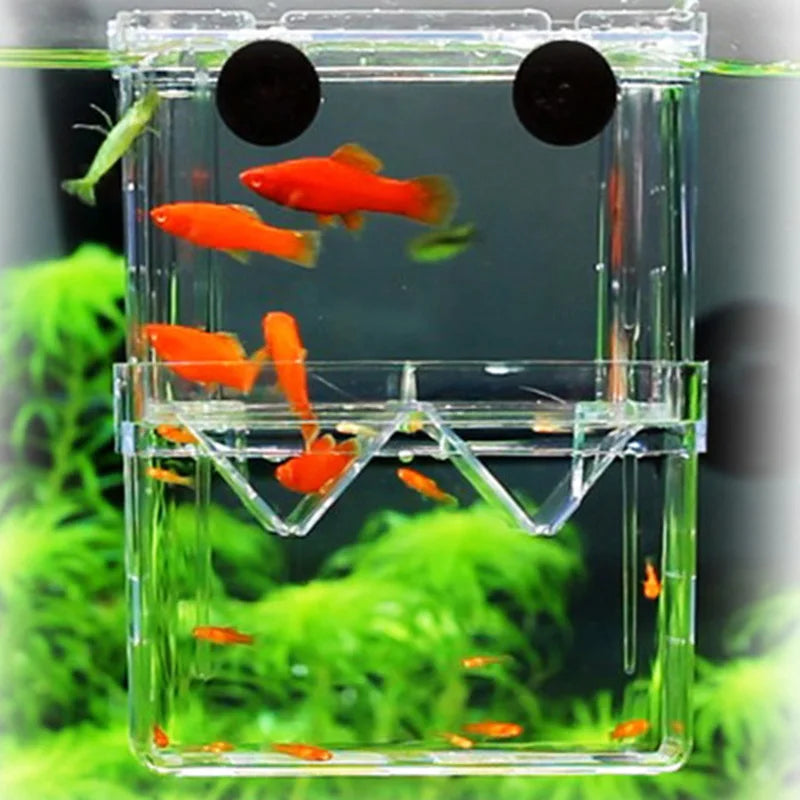 Multifunctional Fish Breeding Isolation Box