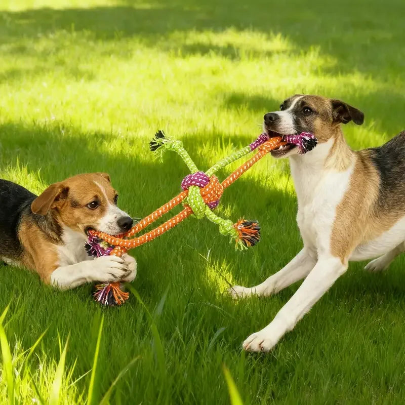 Durable Rope Toy Teeth Cleaning, Chewing