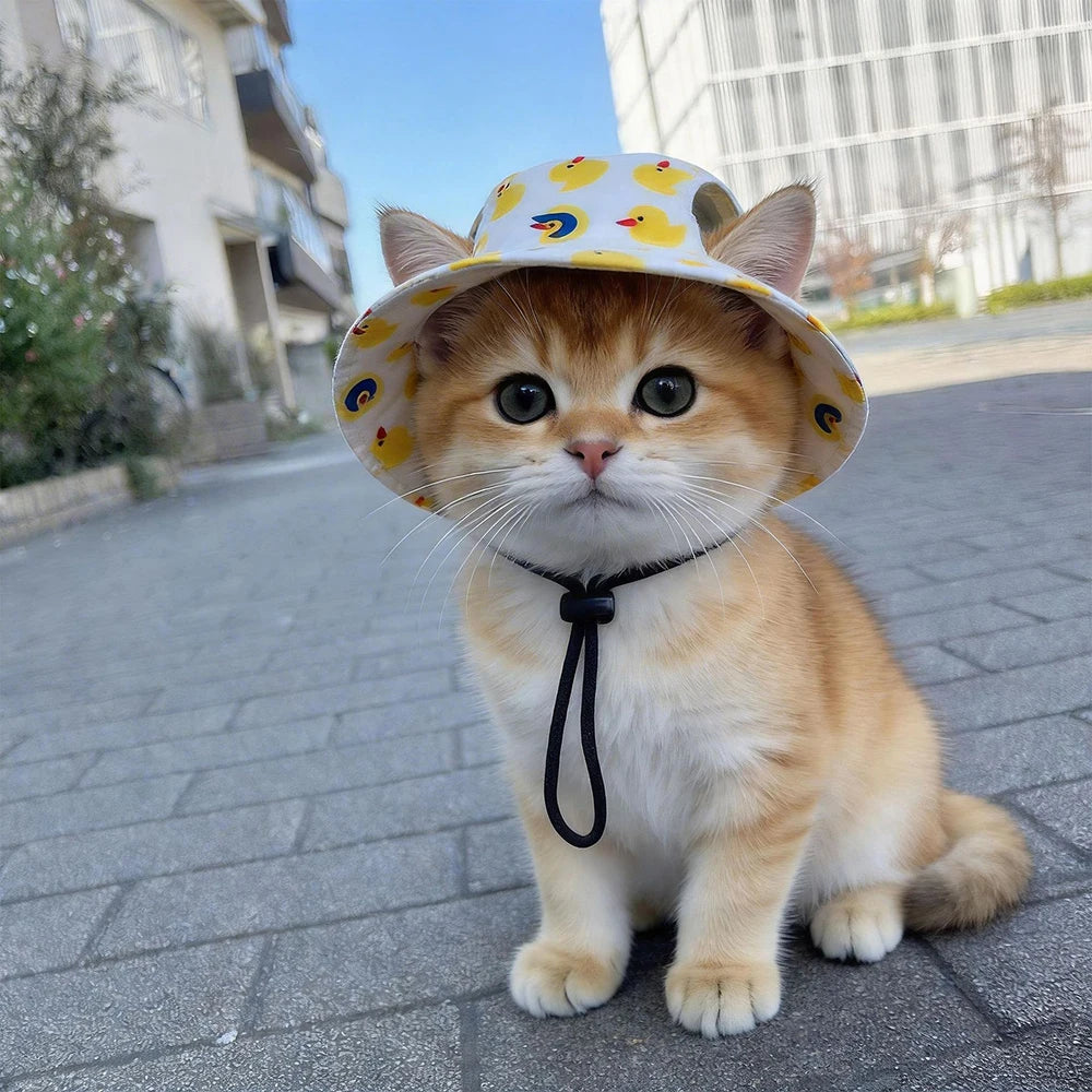 Summer Sunscreen Hat Suitable for Cats, Small-Med Dogs