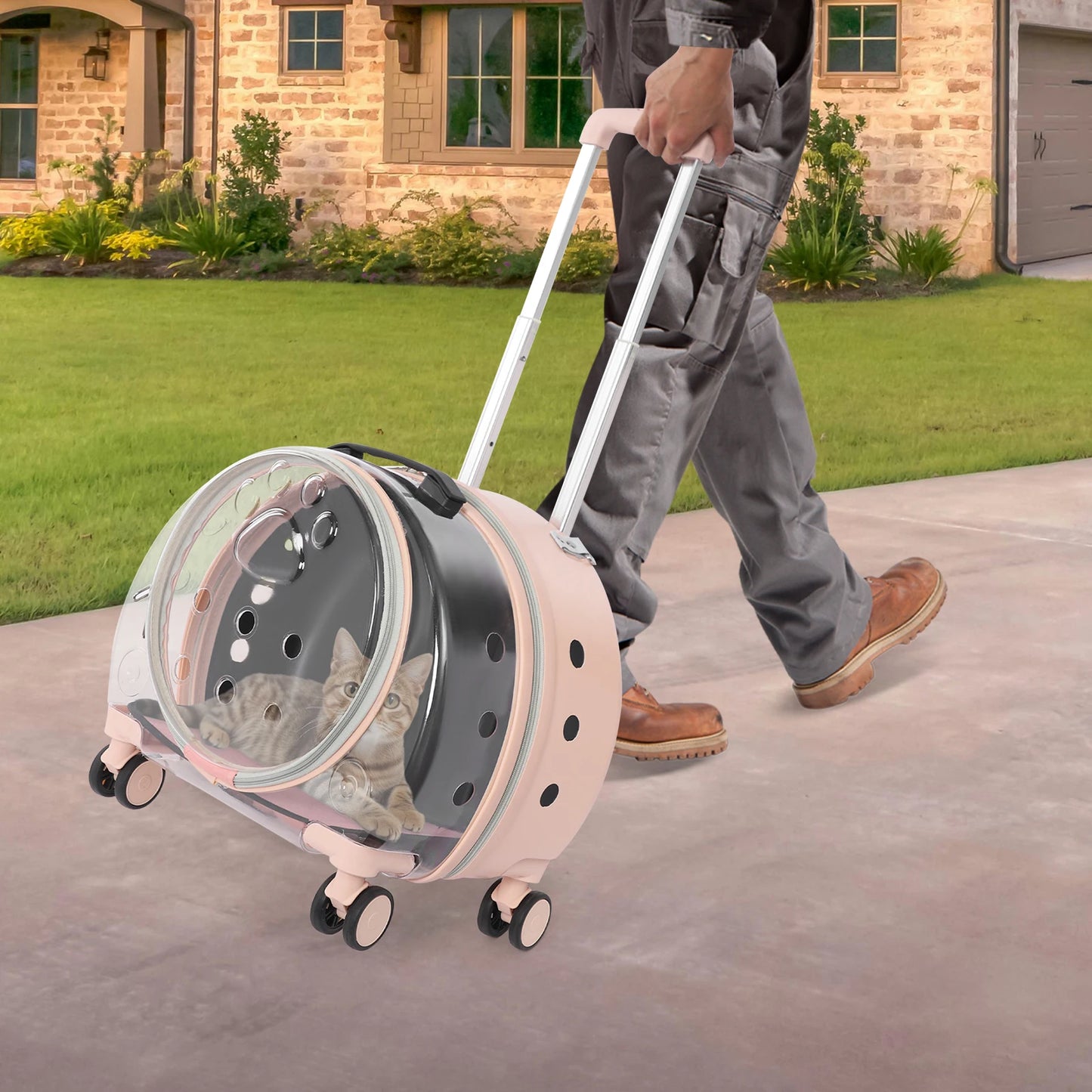 Light Pink Transparent Pet Travel Carrier