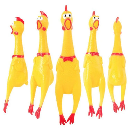 Squeaky Screaming Chicken Toy