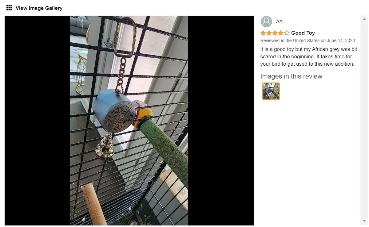 Parrot Teaching, Training Toys