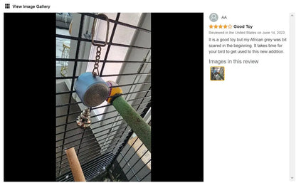 Parrot Teaching, Training Toys