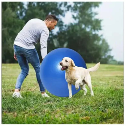 25" Heavy Duty Blue Herding Ball