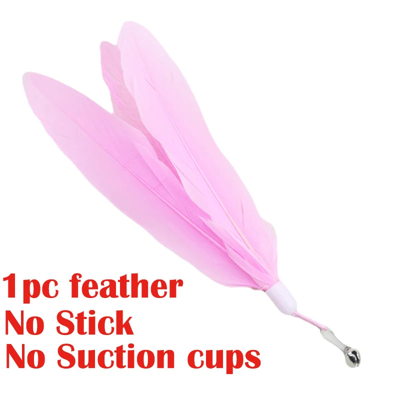 Interactive Cat Teaser Wand Toy