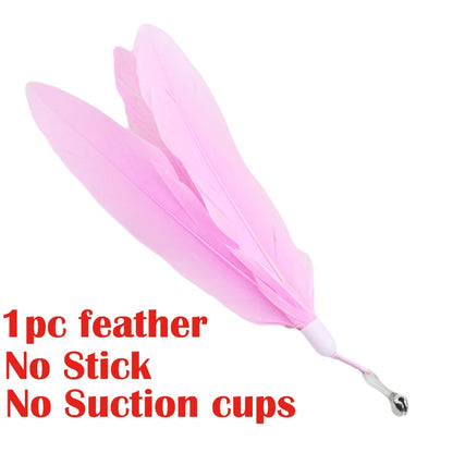 Interactive Cat Teaser Wand Toy