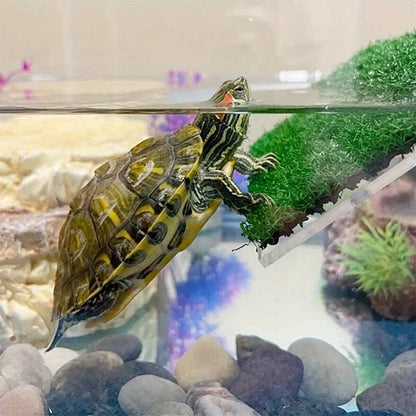 Turtle Climbing, Sunbathing Platform