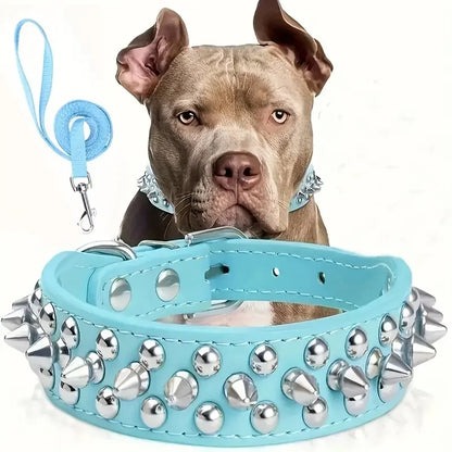 Adjustable, Leather Spiked Dog Collar and Leash Set