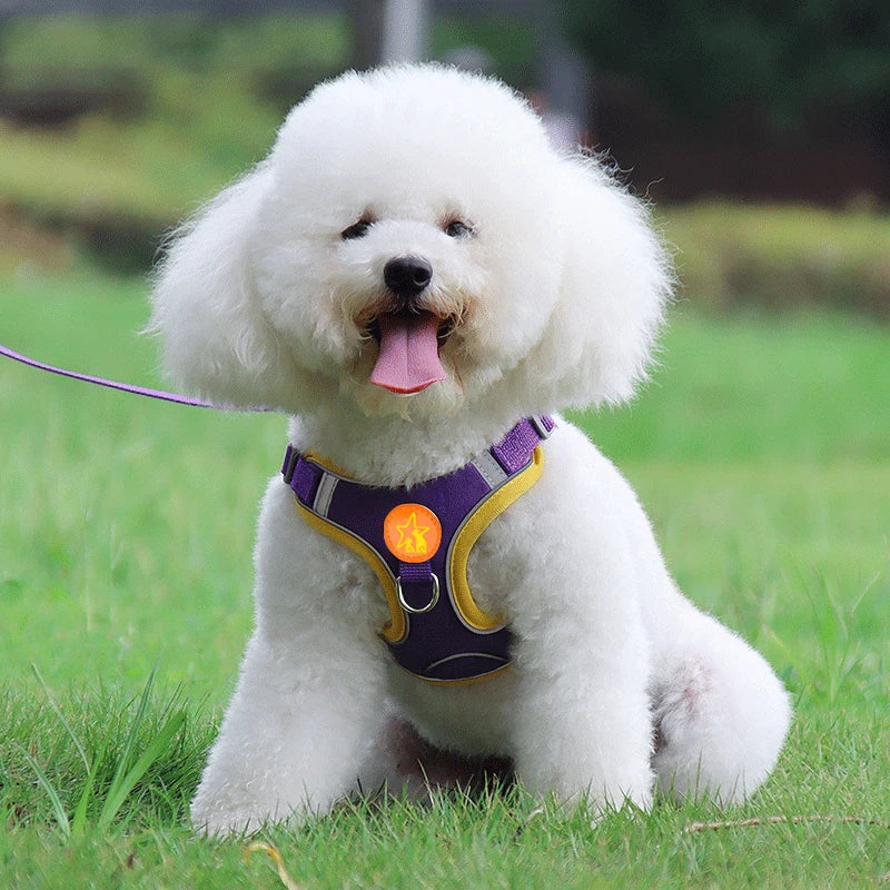 Sm/Med Reflective Vest & Leash for Walking