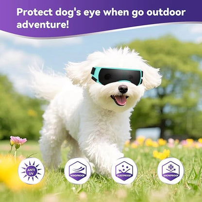 Small Breed Dog Sunglasses/Goggles