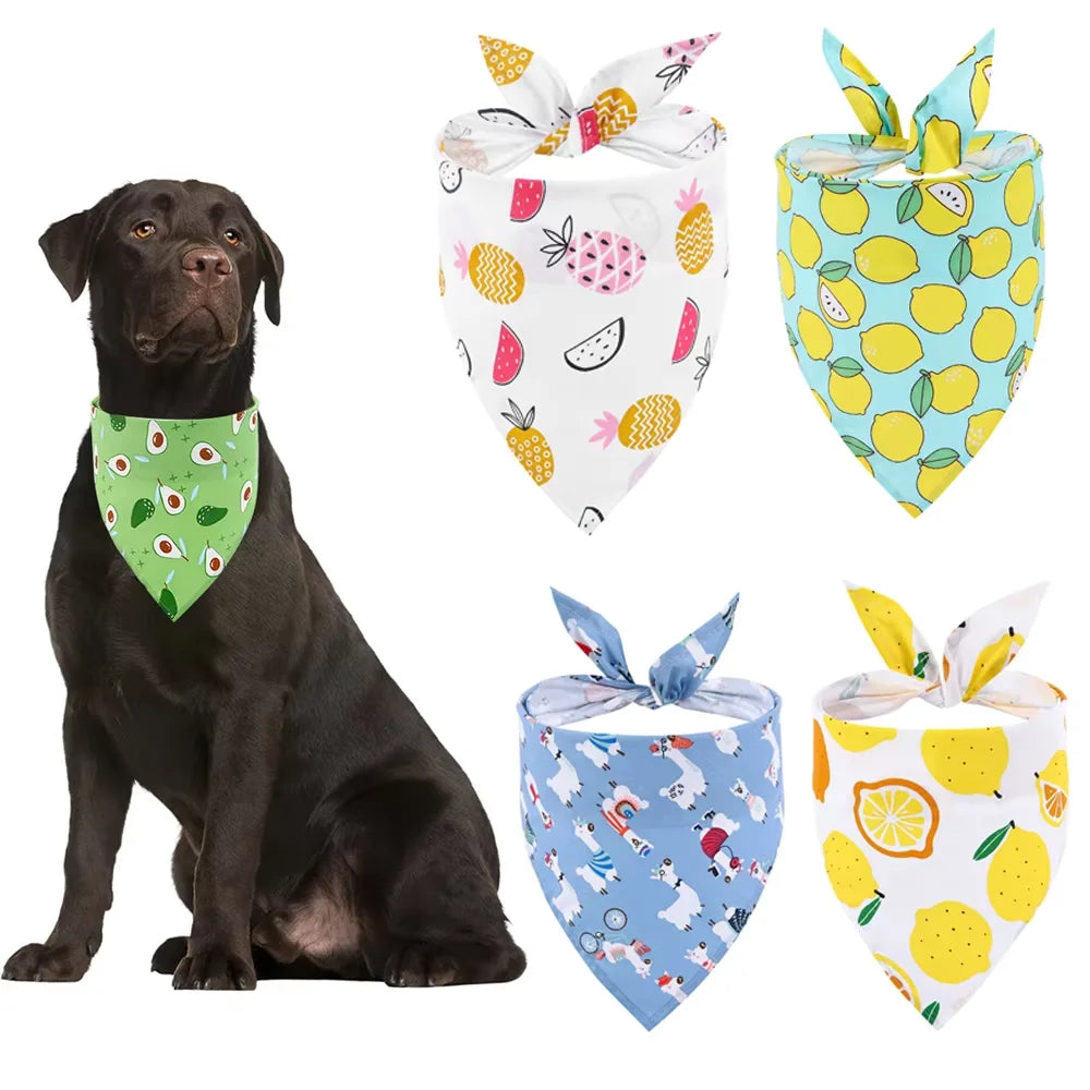 Fruit, Floral. Spring Bandana