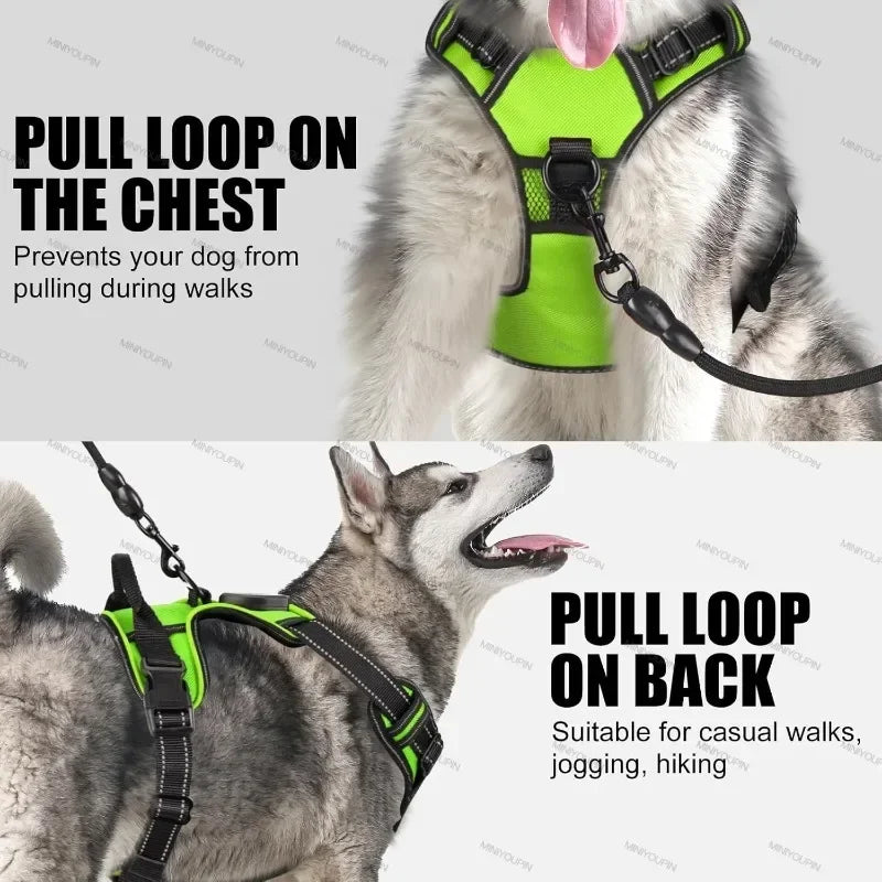 Rechargeable luminous Dog Harness