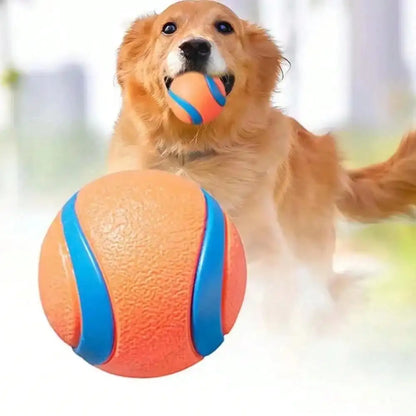 Tough Fetch Ball Toy