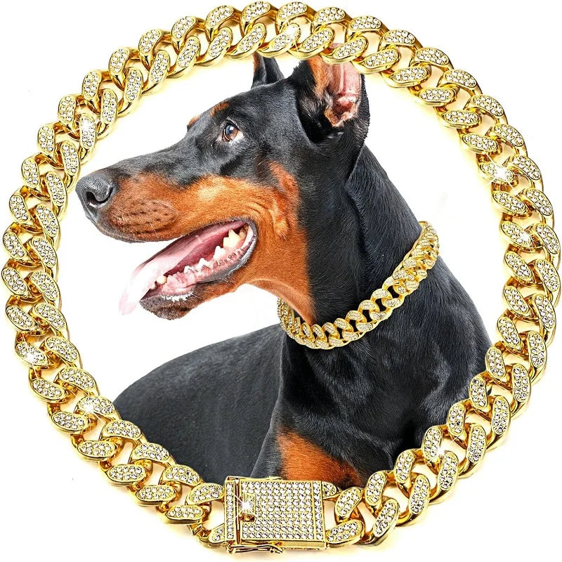 Luxury Gold Dog Chain Collar
