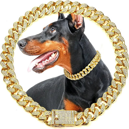 Luxury Gold Dog Chain Collar