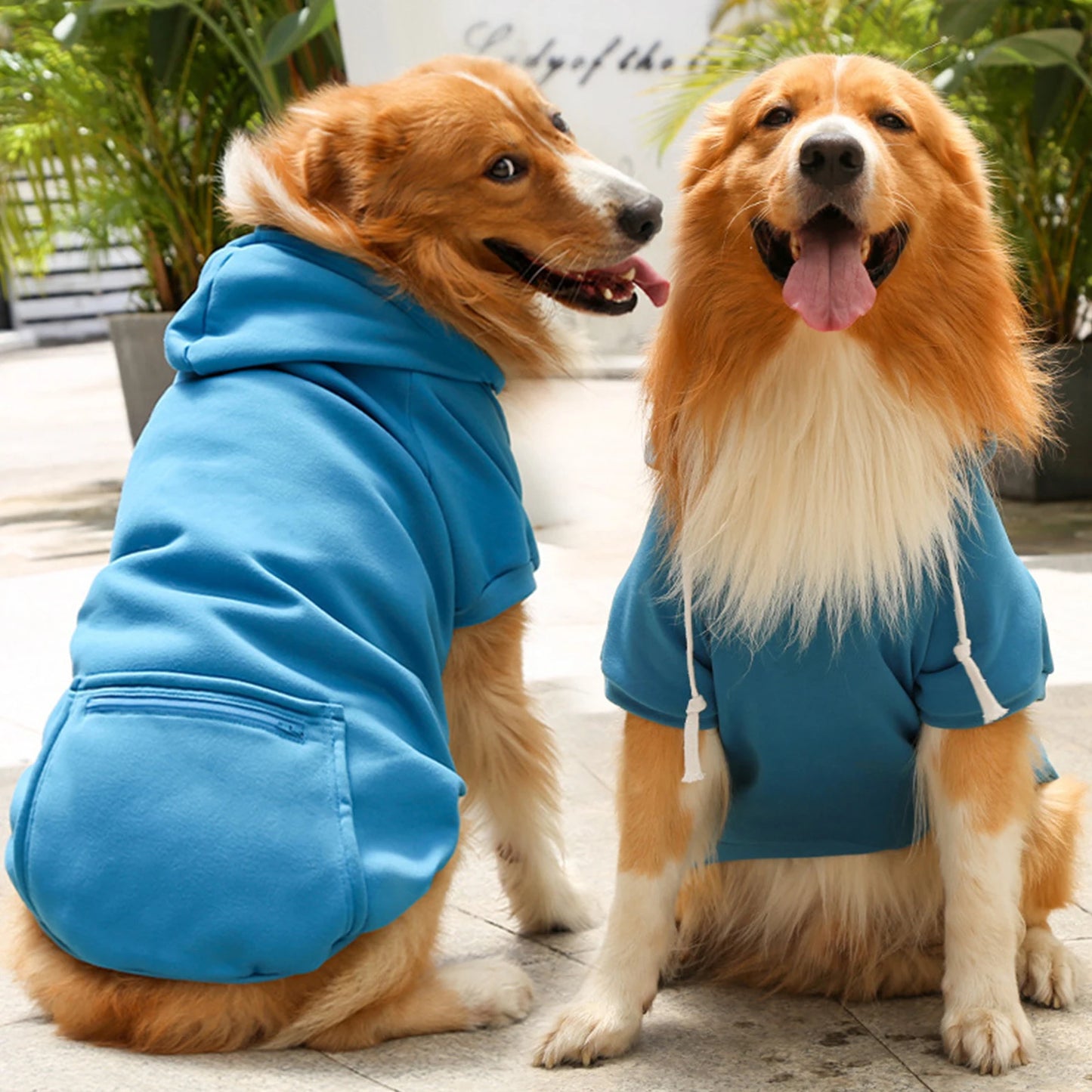 Hoodie Sweatshirts with Pockets