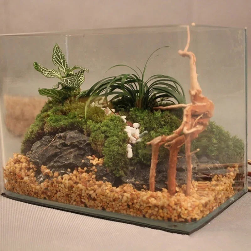 Natural Driftwood Tree Trunk