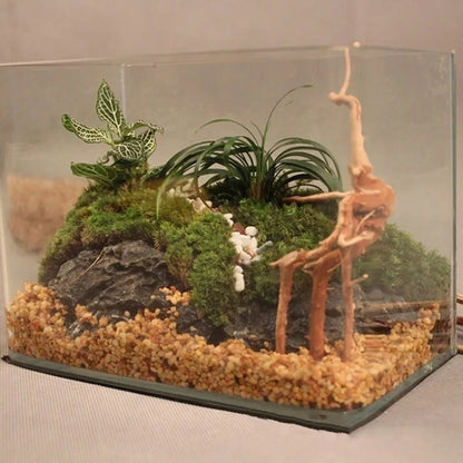 Natural Driftwood Tree Trunk