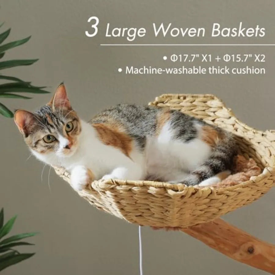 Large Modern Furniture Tree for Indoor Cats