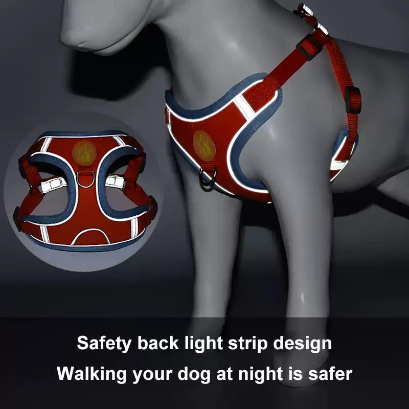 Sm/Med Reflective Vest & Leash for Walking