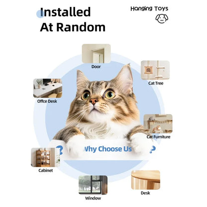 Self-Playing Automatic Cat Toy