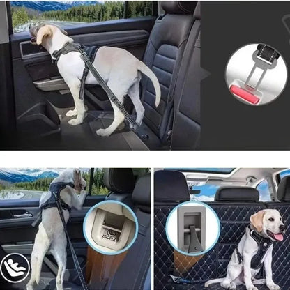 Pet Seat Belt Adapters