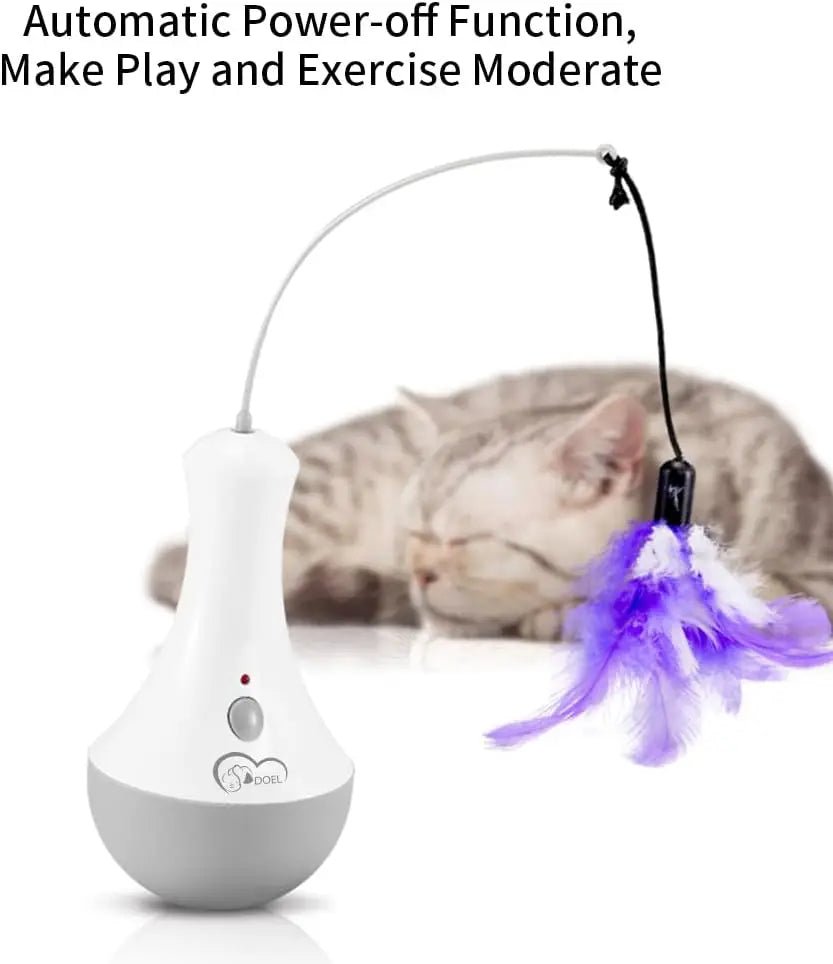 Funny Cat Teaser Toy